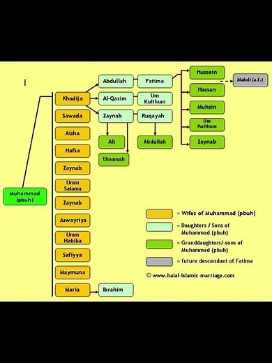 prophet Muhammad family tree #familytree #prophet Muhammad #shortsfeed