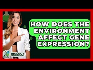 How Does The Environment Affect Gene Expression? - Biology For Everyone