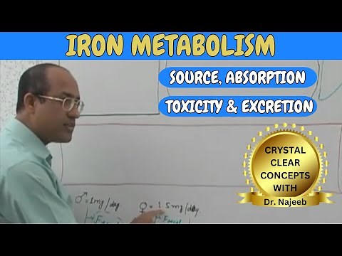 Iron Metabolism | Source | Absorption | Toxicity and Excretion🩺