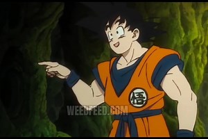 Goku want friendship of Broly | DBZ Videos