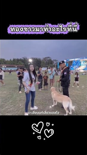 What is Thongkhao doing here? #UngIng Phetbanphaeng