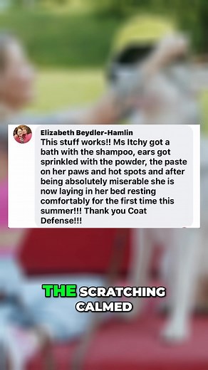 Some dogs get labeled “allergic” when it’s really yeast flaring up in the heat. Skin Bliss Trio = our most complete approach to calming the skin from the outside. ✅ Daily Powder kills yeast on contact ✅ Gentle shampoo for a clean slate without chemicals ✅ Balm for the paw pads and nose Save the vet for the big stuff. Try the Skin Bliss Trio at coatdefense.com | Coat Defense | Facebook