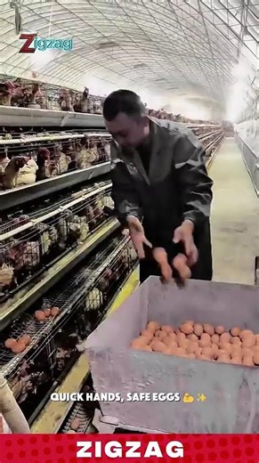 Massive Machines & Hard Work Moments | Epic Heavy Industry Shorts