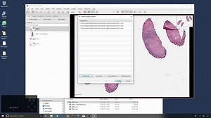 病理学切片开源处理软件QuPath官方教程 3 - Creating Projects