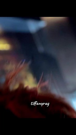 ✨𝑬𝑳 𝑪𝑼𝑳𝑻𝑶 𝑫𝑬 𝑪𝑯𝑼𝑪𝑲𝒀✨#cultoofchucky #elcultodechucky #chuckynicaedit #chuckylover #Fyp #parati