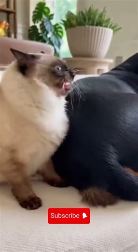 This is why trust issues😝start😵early