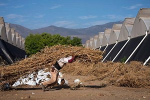 Naciones Unidas | Paz, dignidad e igualdad<BR>en un planeta sano
