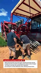 Amazing Carrot Harvester Machine in Action | Modern Root Crop Harvesting 🚜🤖🥕