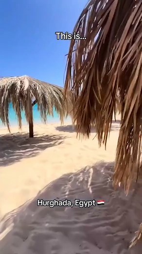 2K views · 95 reactions |  Discover the Magic of the Red Sea! ✨ The Red Sea’s crystal-clear waters are perfect for snorkeling, diving, and pure relaxation. Whether you're exploring vibrant coral reefs, swimming with colorful marine life, or simply unwinding on pristine beaches — every moment feels like paradise. ️ Book your adventure now and let the Red Sea amaze you!  | Trip Light Tours | Facebook