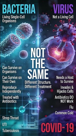 Virus vs Bacteria – What’s the Real Difference?