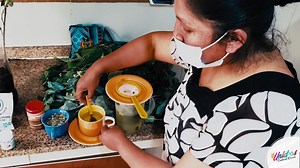 #UnidosContraElCovid El matico es parte de nuestra #MedicinaTradicional ya que ofrece muchos beneficios para nuestra salud. Aprende cómo prepara un mate de matico en tu hogar. #NoBajemosLaGuardia | Ministerio de Salud Bolivia