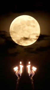 4.4K reactions · 697 shares | NIGHT RAID Full video on YouTube https://youtu.be/adkpbiOH3K0?si=w4iQ-cKvdbEgdOAE #volfgangtwins #nightraid | Volfgang Twins | Facebook