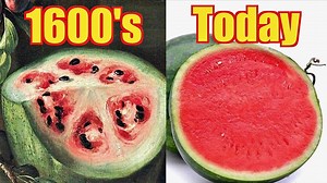 How Fruits & Vegetables Evolved Over Centuries of Agriculture