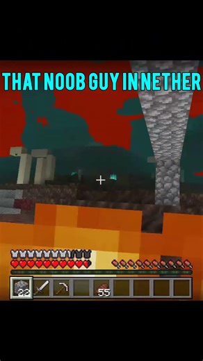 The Noob Bro In Nether