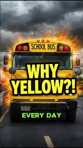 Why U.S. School Buses Are Yellow
