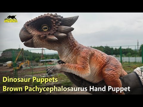 Brown Pachycephalosaurus Hand Puppet | Dinosaur puppets