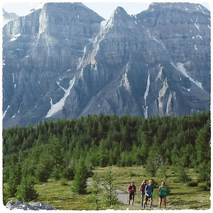 546 reactions · 47 shares | We’re now open, and inviting you to find your way back. Whether it’s to hike your favourite trails, discover a new view or wander downtown, we’re ready for a visit when you are. | Banff & Lake Louise Tourism | Facebook