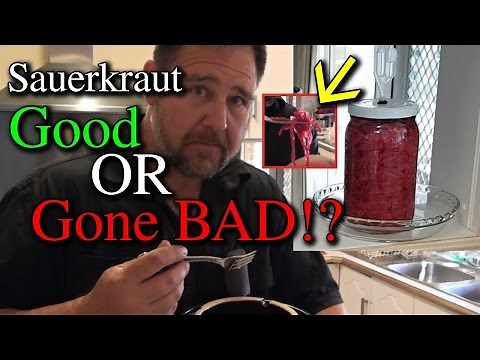Testing Sauerkraut is it Bad or Safe to Eat?