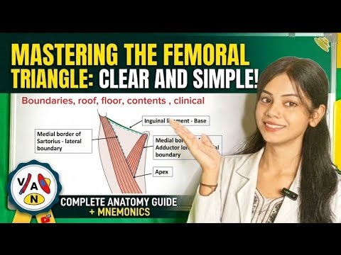 Lower limb anatomy | Femoral Triangle | Anatomy, Mnemonic & Clinical Relevance