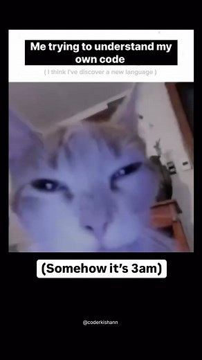 Nick Amato on Instagram: "Strange things happen in the night 🧐 #code #codingmemes #tech #python #coding #softwareengineer"