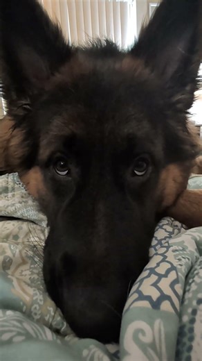 He Was Calm Until He Wasn’t