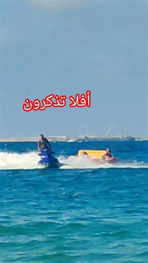 Say, "To whom belongs the earth and all that is in it?" #humble-recitation #Yasser-Al-Dosari #exp...