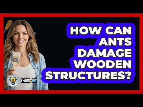 How Can Ants Damage Wooden Structures?