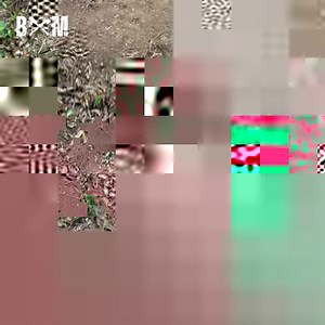 Build a Wooden Bridge Across a Stream | Bushcraft Master