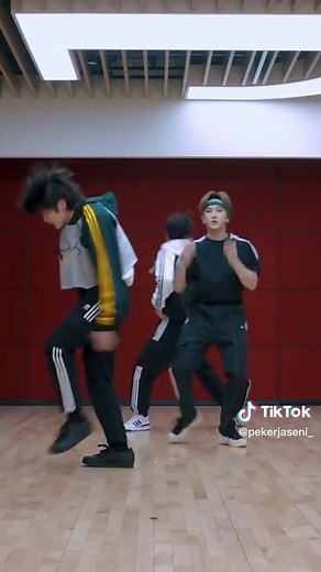 Stray Kids Maniac Dance Practice Video