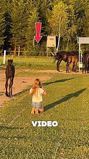 Girl's Love Instantly Won Two Smart Horses! 🐴❤️