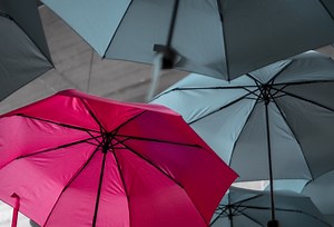 4 ways sales reps can stand out from the competition