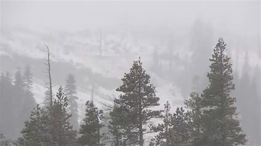 California's Northern Sierra sees first snowfall of season