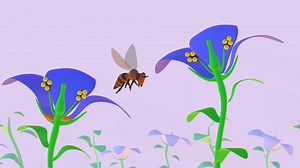Bug: Pollination by bees - Download Free 3D model by Vera4Art (@Elvera.Viljoen)