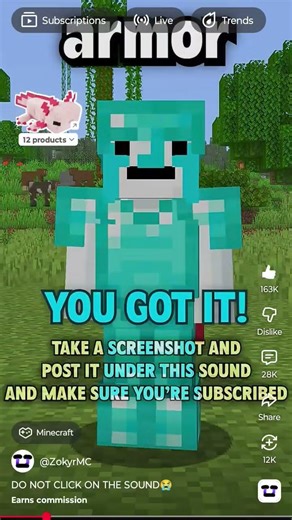 @ZokyrMC I landed on the diamond armour