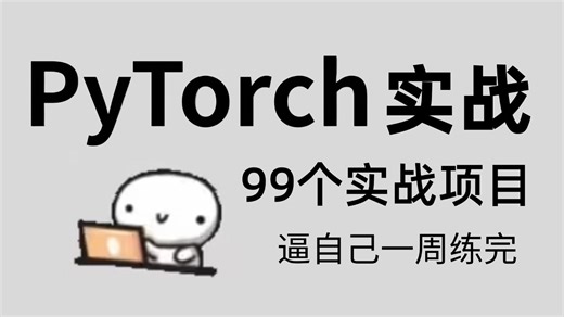 【PyTorch实战】这绝对是B站最好的99个实战项目Pytorch天花板教程，从入门到实战，练完秒变AI大神，一套解决Pytorch框架所有问题！深度学习/人