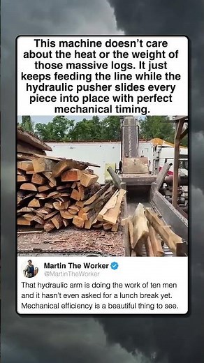 MASSIVE LOGS VS MECHANICAL MUSCLE