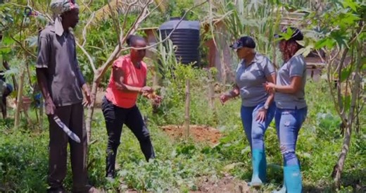 THE FARM CHICKS on Instagram: "Throw back to this episode where we saw the use of natural planting at its best with the use of cow manure and ashes. Remember to head on over to our YouTube channel to watch this episode and other episodes. #FarmChicks #Farming"