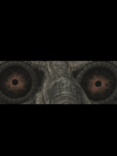 Shadow of the Colossus Game Over Screen Explained