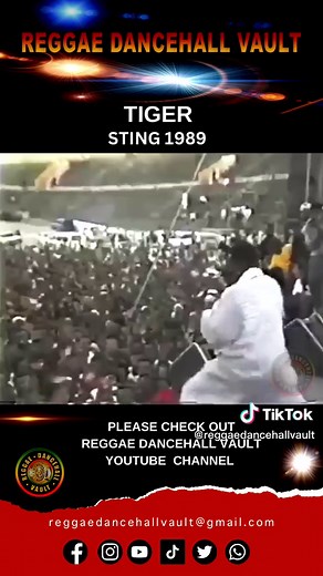 Reggae Dancehall Vault on TikTok