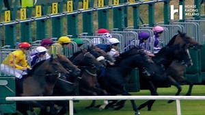 23K views · 213 reactions | Need a pick-me-up on these dark January evenings? Take a look back on the fantastic year of racing in 2019  As we look forward to a cracking 2020...roll on the Thyestes and DRF! Relive #everyracingmoment  | Horse Racing Ireland | Facebook