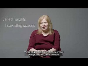 Spatial reasoning video: three to four years