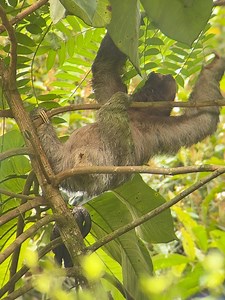 11 reactions | Dr. Dustin Portela, Dermatologist on Reels | Facebook