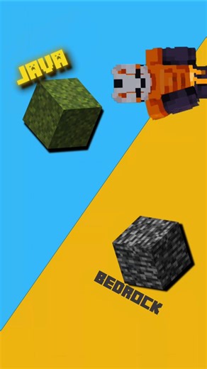 Inzmam on Instagram: "Java vs Bedrock Minecraft Part-1"