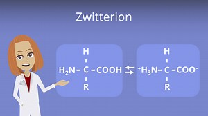 Zwitterion • Definition, Beispiele