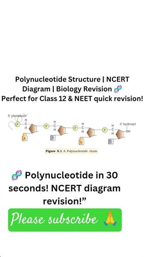 #educationalshorts #biologyshorts #ncert #cbse #neet #2026 #shorts