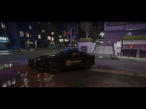 Next-Level Law Enforcement! 🚓 | 2024 Mustang Police & Sheriff Edition 🚨