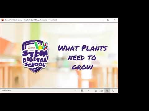 Grade 4 - NS & Technology | 14 July 2020 | Term 1 Revision