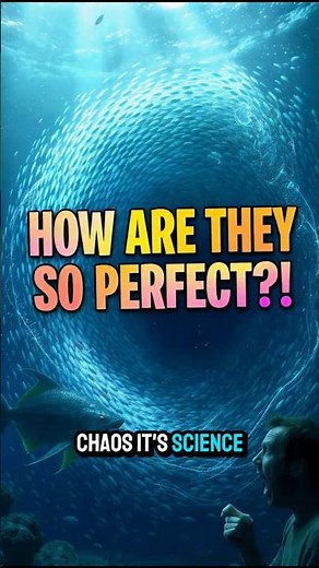 How Fish Swim in Perfect Sync