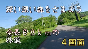 4画面バイク車載　長野県道502号奥志賀公園栄線　奥志賀林道　栄村→志賀高原　深い深い森を彷徨う68kmの林道　2倍速　その1