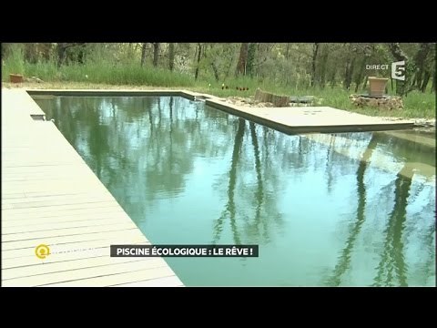 Piscine écologique : le rêve !